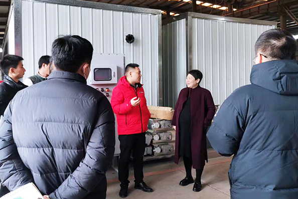 ���A�Ƽ��S�^(q��)܇�g�͑��^